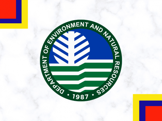 DENR taps IPs to help protect forest in Zambo Norte