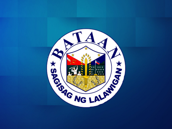 Bataan LGU, schools division office receive award from DTI