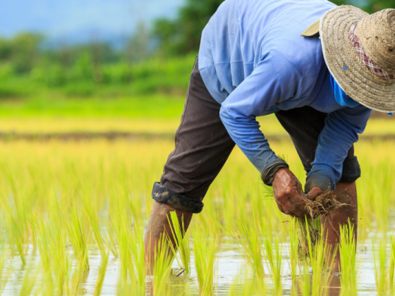 Full insurance coverage for farmers gains traction in House