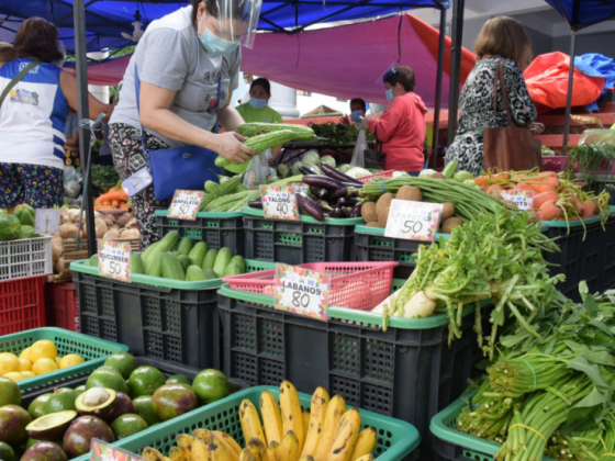Agri party-list pushes bill institutionalizing Kadiwa stores