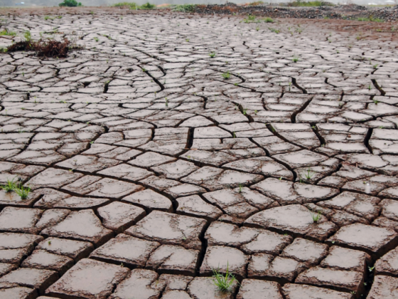 Gov’t ready to provide alternative livelihood for farmers amid El Niño