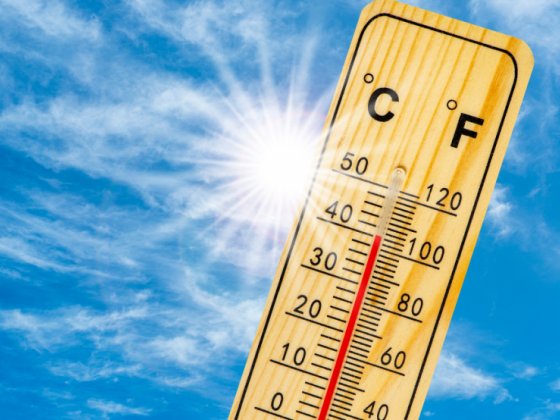 Dangerous heat index forecast in 13 areas