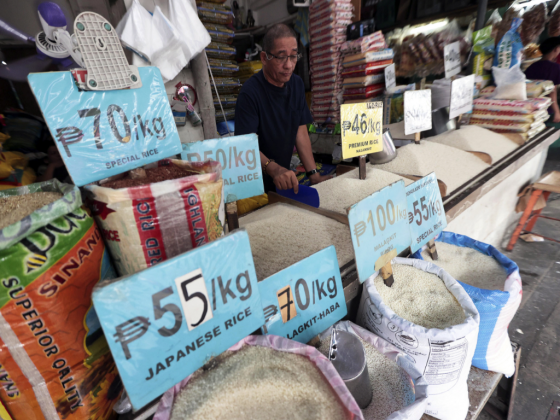 DA assures efforts to balance food affordability, farmers’ income