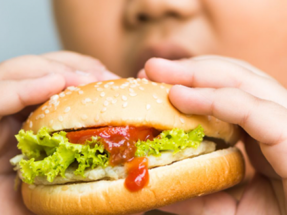 228M children worldwide expected to live with obesity by 2040: Study