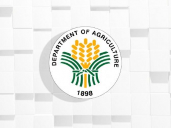 PH pitches agriculture as bankable investment sector at ADB forum