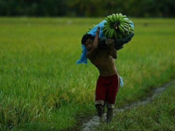 House reviews gov’t readiness vs. Gulf crisis impact on agri sector
