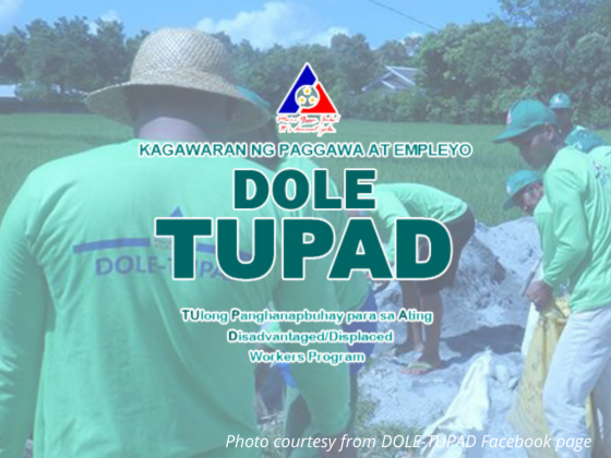 DOLE suspends TUPAD program in Palawan due to anomalies